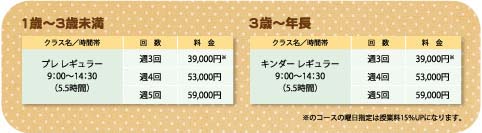 料金表_一時的に使用